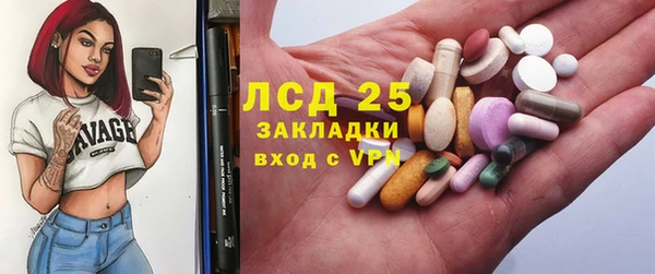 мяу мяу мука Аркадак