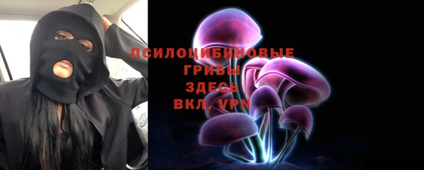 мяу мяу мука Аркадак