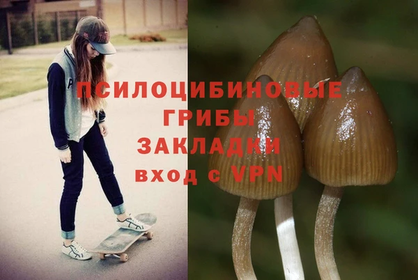 мяу мяу мука Аркадак