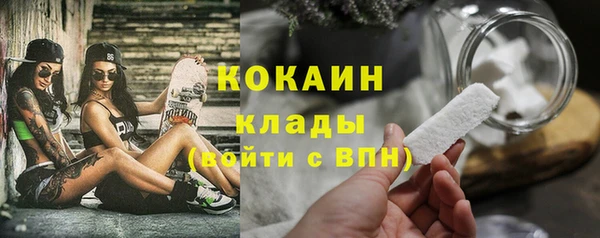 мяу мяу мука Аркадак