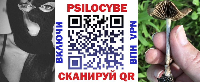 Псилоцибиновые грибы мицелий  Купить закладки  Мичуринск 
