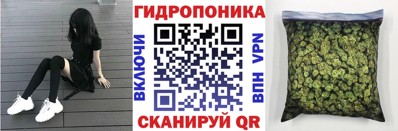 Шишки марихуана OG Kush  Купить закладки  Мичуринск 